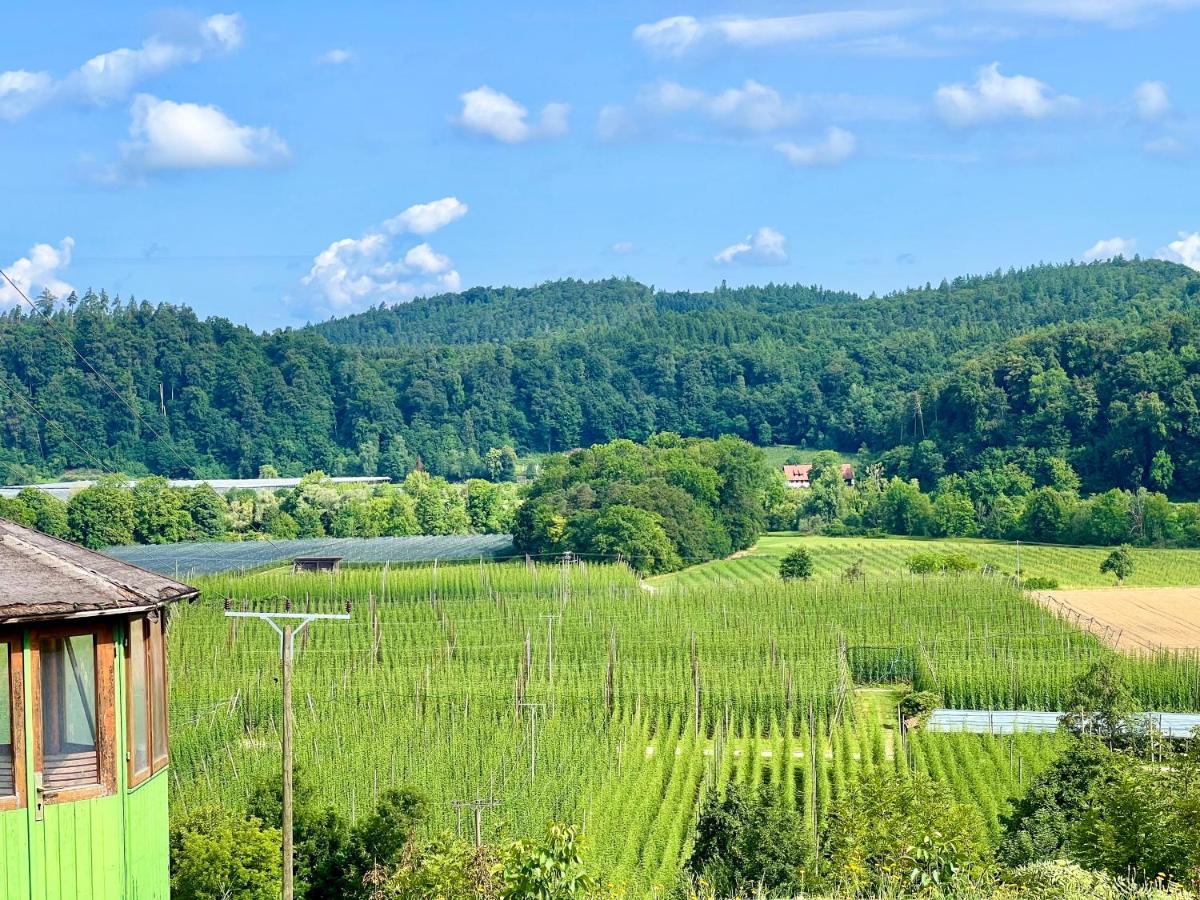 Einzigartiger Panoramablick, Bodensee Und Messe In Der Naehe Tettnang Luaran gambar
